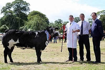 Stephen O'Kane exhibited Andrew Craigs Reserve Champion Ulster Bank British Blue at Castlewellan Show and he is pictured with Cormac McKervey, Senior Agricultural Manager, Ulster Bank and Richard Convery, Ulster Bank, Rathfriland.